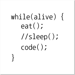 Eat Sleep Code While Loop Programming Funny Posters and Art